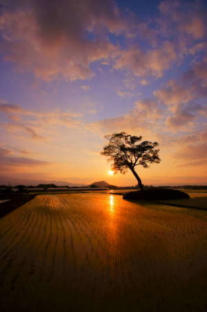 古宮ー4 古宮ー4