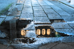 嚢祖１５－１３