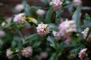 テスト１７－４１