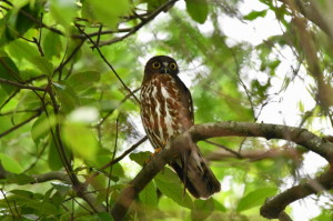 あお２０－７０