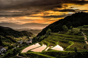 夕陽２５－６－１