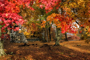 古城２５－１１０３